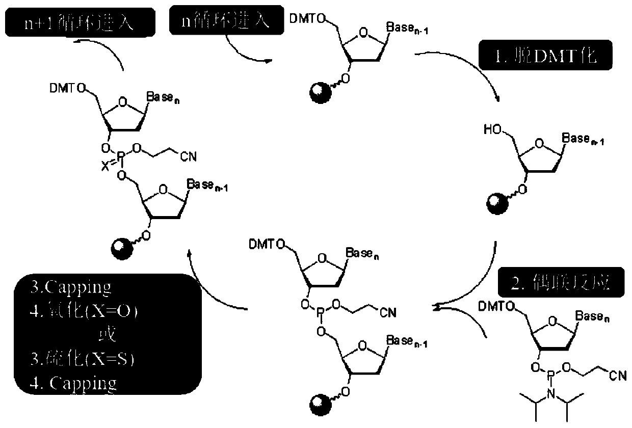 Prodrug with anti-tumor activity and preparation and application thereof