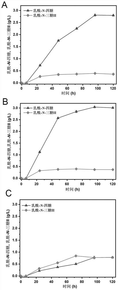 Construction method and application of high-yield lactoyl-N-tetrasaccharide microorganism