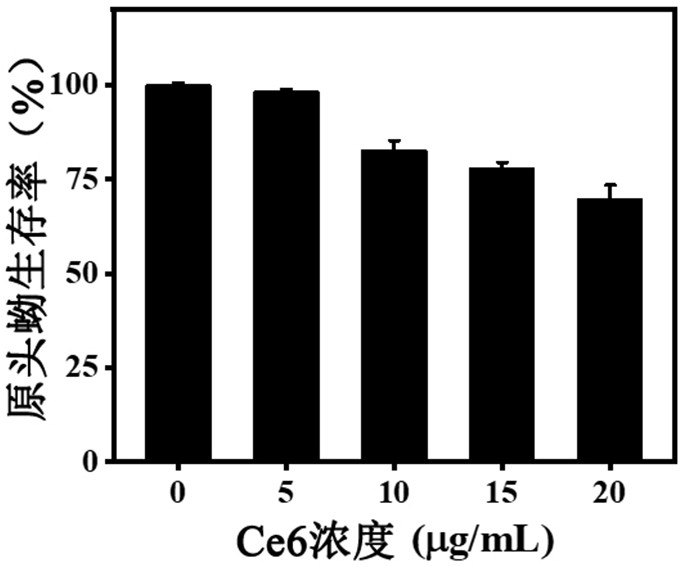 Composition of photodynamic combination drug as well as preparation method and application thereof