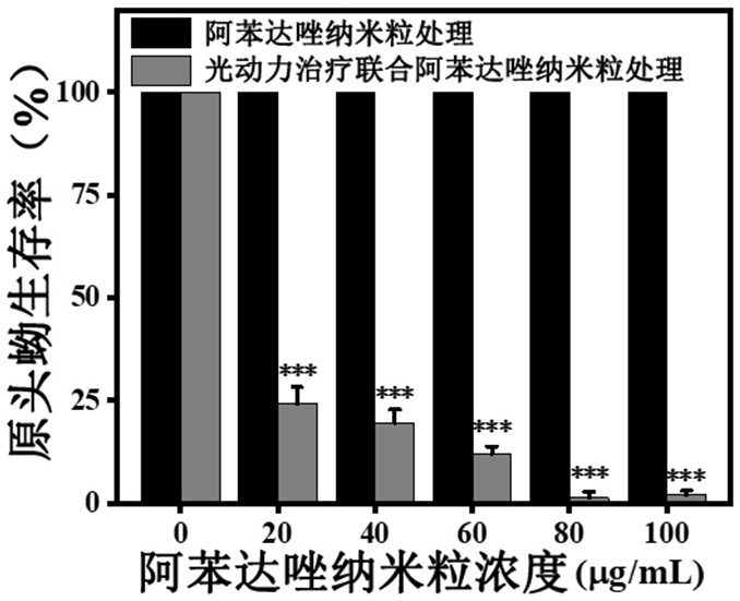 Composition of photodynamic combination drug as well as preparation method and application thereof