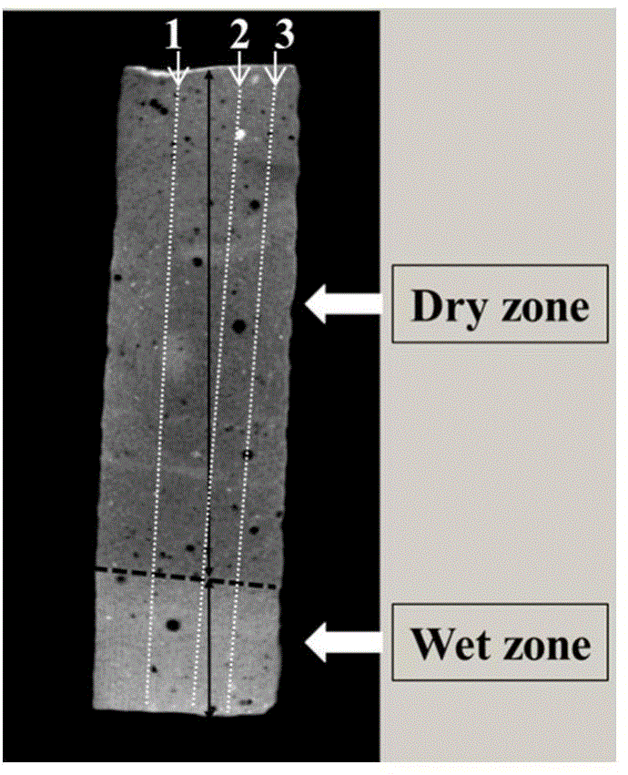 Method for visually representing spatial distribution and content of water in cement-based material