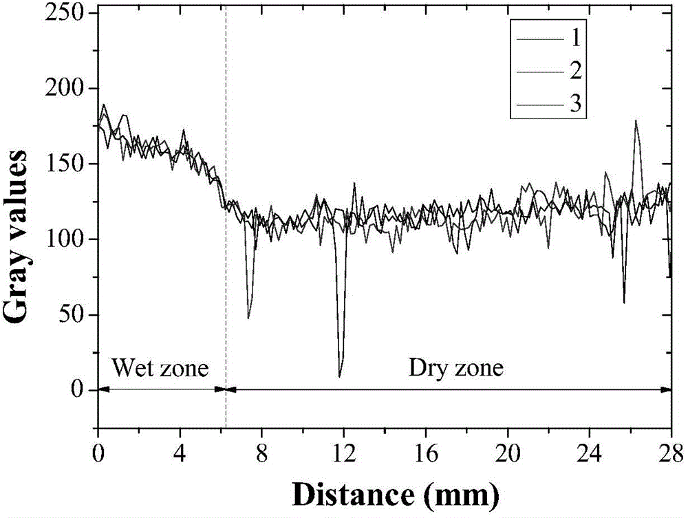 Method for visually representing spatial distribution and content of water in cement-based material