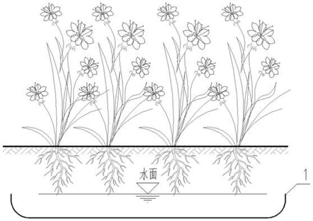 Water-retaining ecological structure