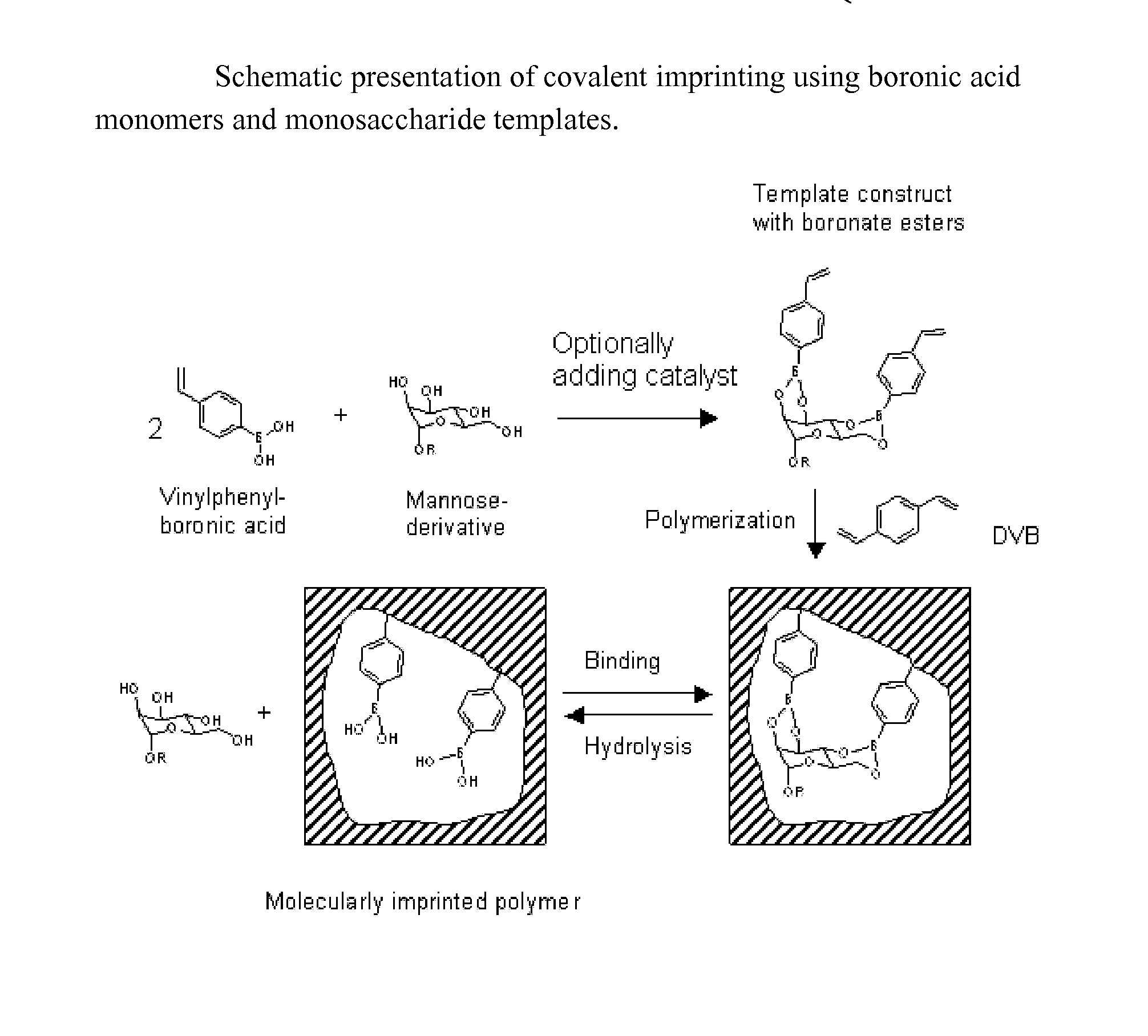 Imprinted polymers