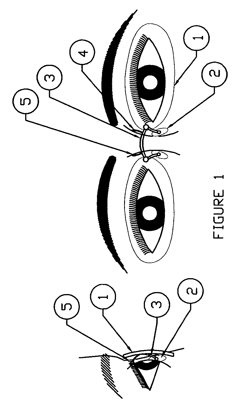 Multiple Purpose Body Pierce System