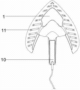 An electric iron that can visually display the ironing effect