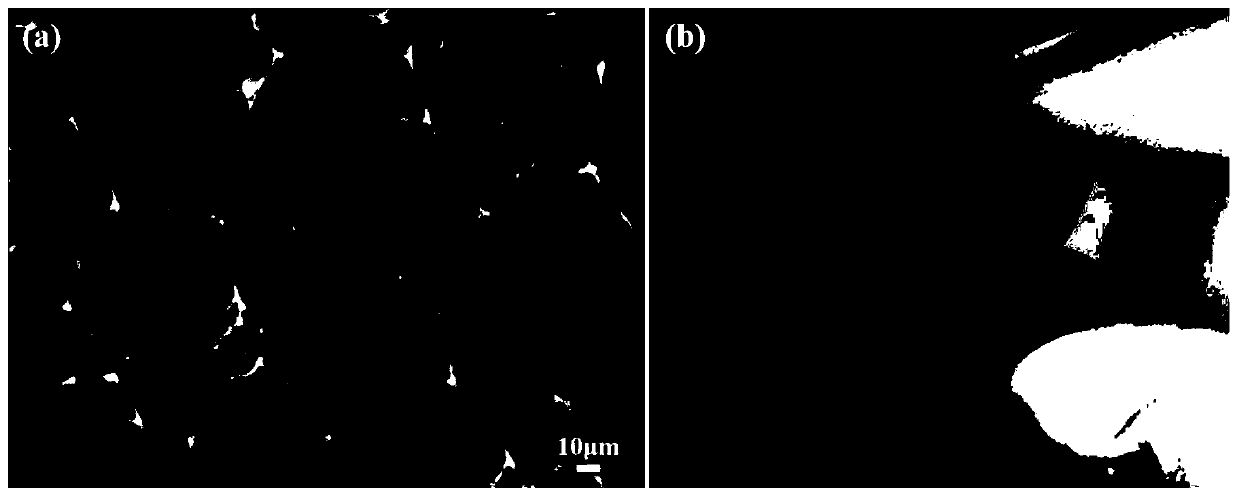 Preparation method for novel foam carbon electromagnetic shielding composite material