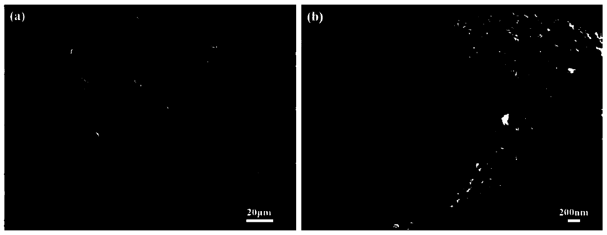 Preparation method for novel foam carbon electromagnetic shielding composite material