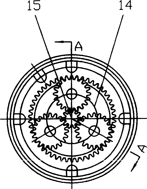 Motor with two-end output