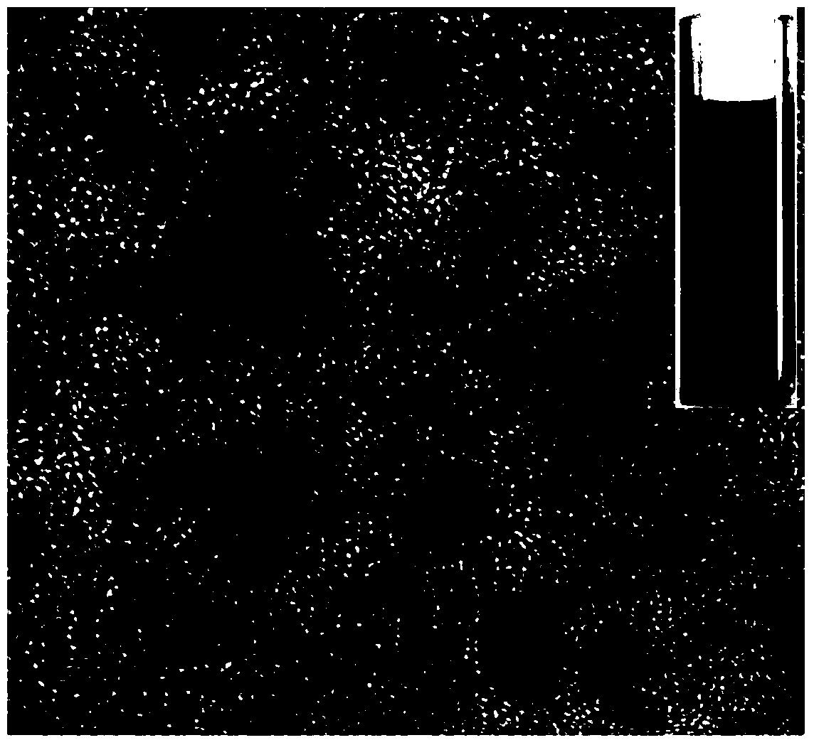 Preparation method of transparent, self-cleaning, antibacterial, and wear-resistant coating on polymer surface