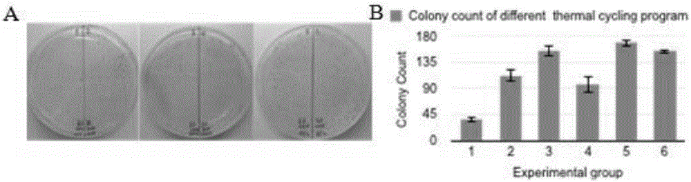 One-tube reaction type DNA molecule clone splicing method