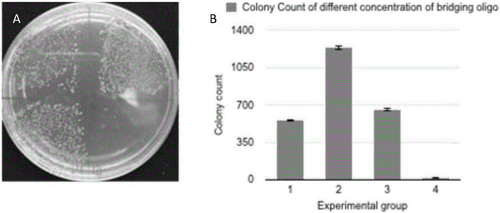 One-tube reaction type DNA molecule clone splicing method