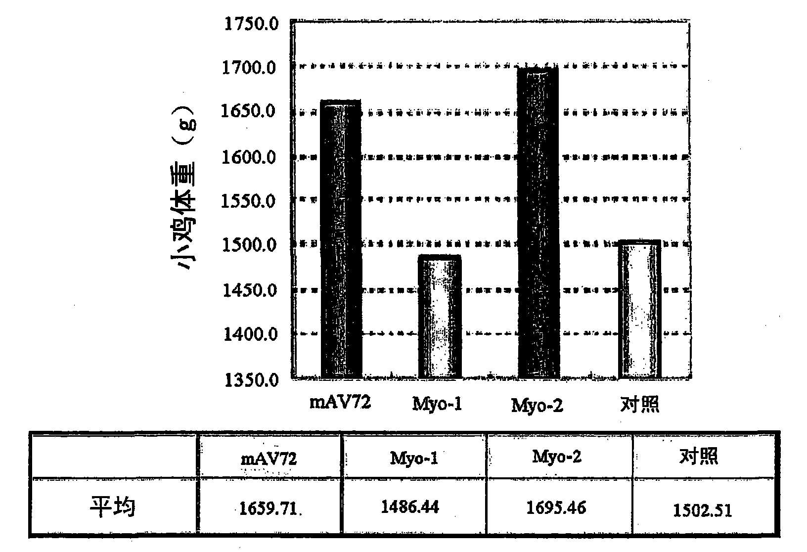 Surface expression vector for fusion protein of Myo-2 peptide multimer and myostatin, and microorganism transformed by thereof