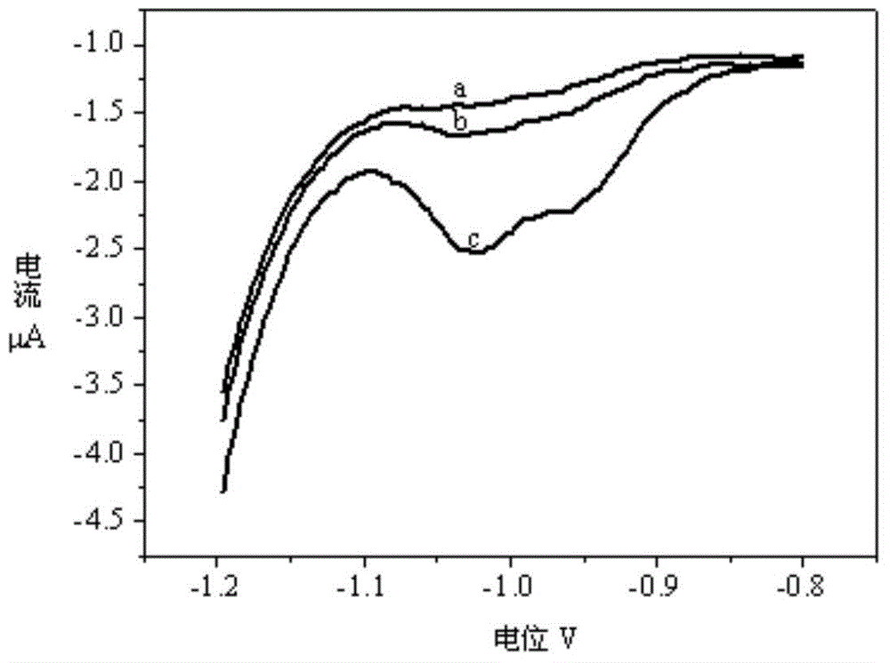 Method for detecting concentration of zinc ions