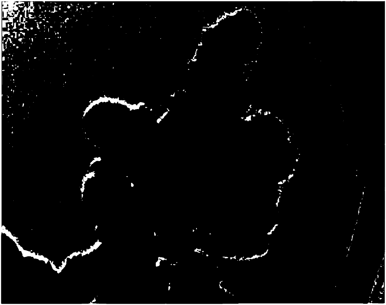 Method for microwave hydrothermal preparation of 1T@2H-MoS2