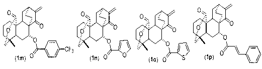 7-acyl-15-oxo-spiraea lactone derivative as well as preparation method and applications thereof