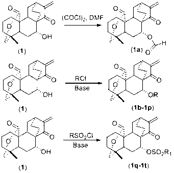 7-acyl-15-oxo-spiraea lactone derivative as well as preparation method and applications thereof