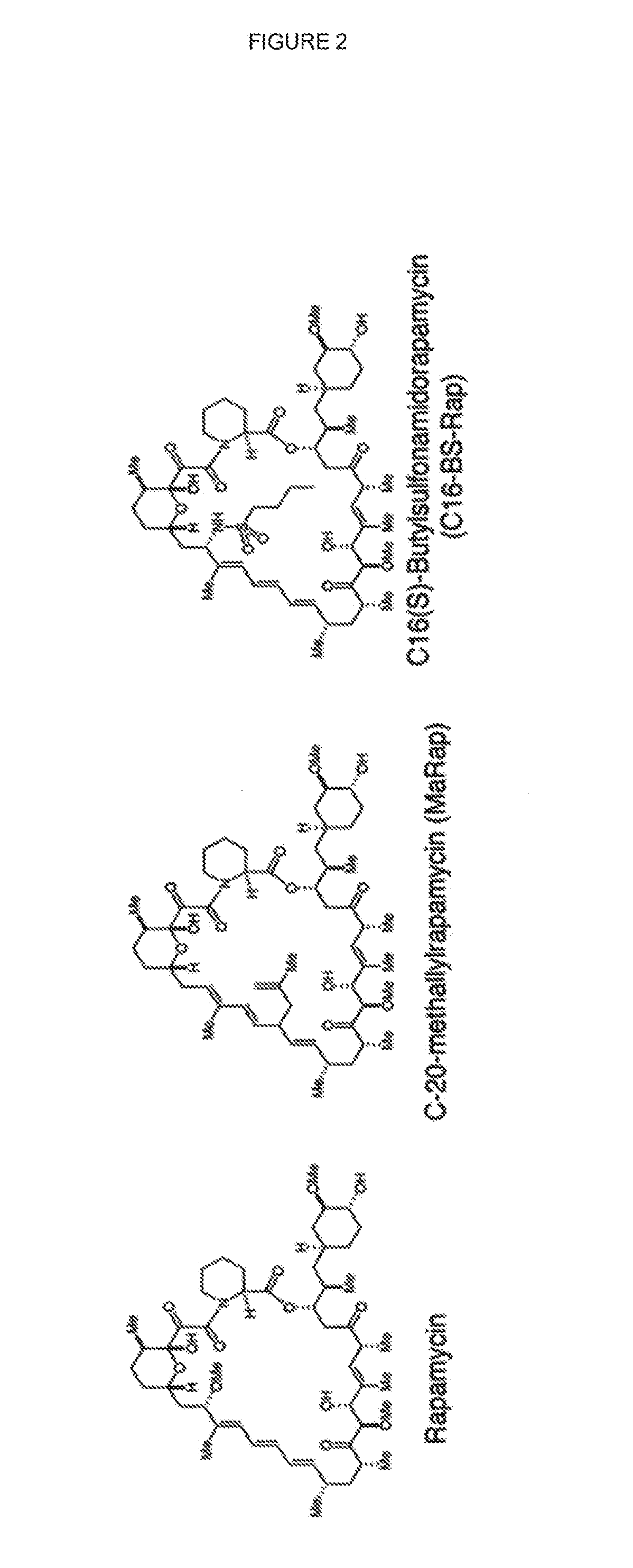 Chimeric antigen receptor (CAR) signalling system