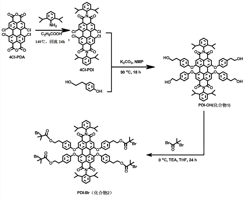 Fluorescent star-like polymer as well as preparation method and application thereof