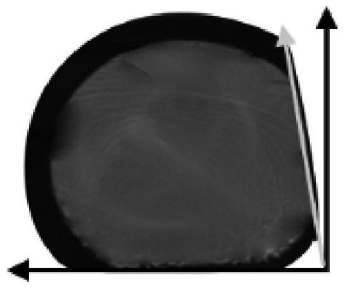 Processing method to obtain asymmetric waveguide structure through processing on optical fiber