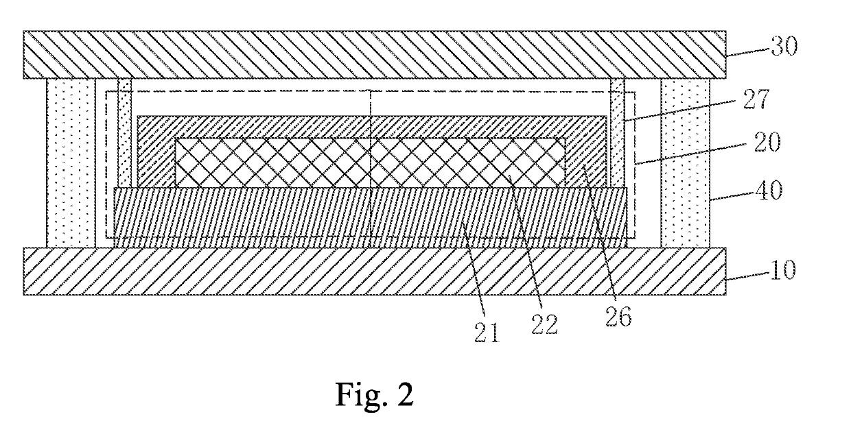 OLED display device