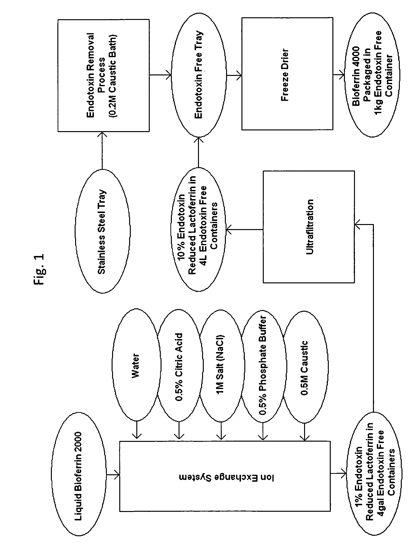 Method for removing endotoxin from proteins