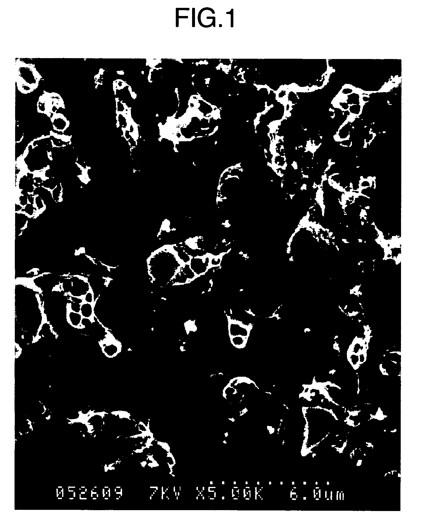 Porous formed article and method for production thereof