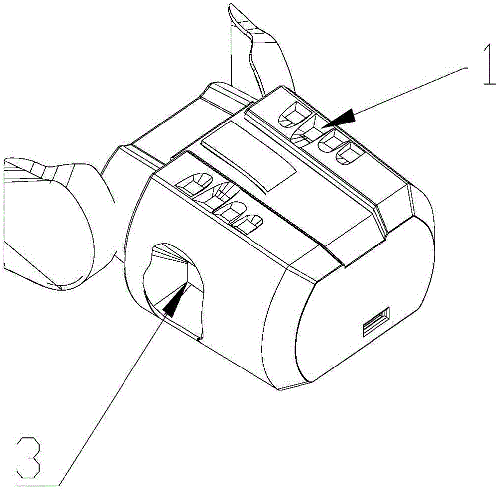 Portable multi-mode biological feature identity recognition device and system