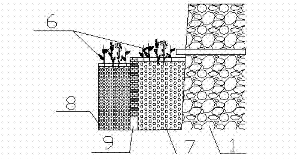 In-situ reduction or control method of sewage discharged from sewage discharge outlet