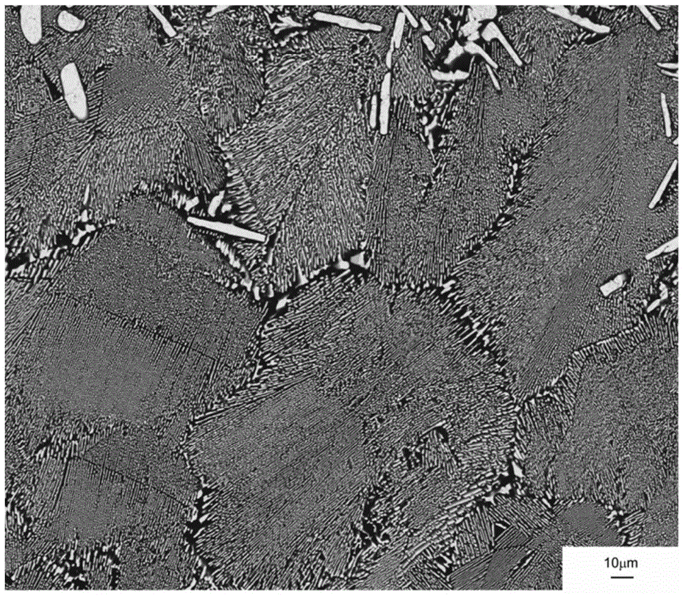 Preparation method for B4C-HfB2 high-temperature eutectic in-situ composite ceramic