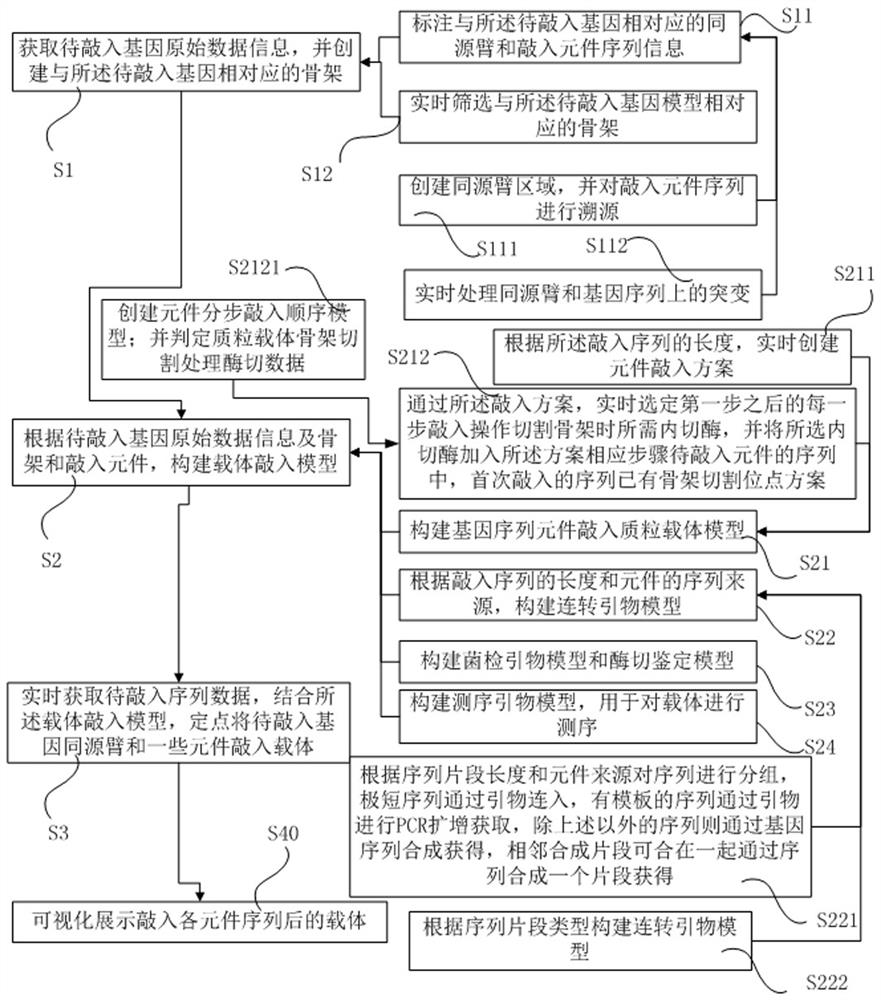 A gene-directed knock-in vector construction method, system and platform