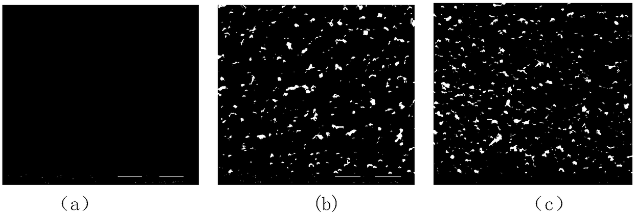 Surface modified polyarylether bone implant material containing phthalazinone biphenyl structure and preparation method thereof