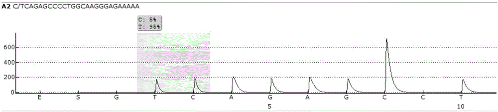 Pyrophosphoric acid sequencing primer pair and kit for qualitatively detecting HLA-DQ genotyping