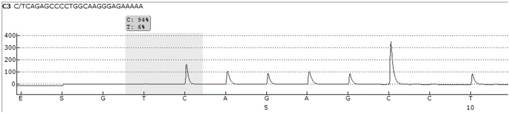 Pyrophosphoric acid sequencing primer pair and kit for qualitatively detecting HLA-DQ genotyping