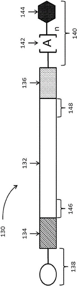 Polynucleotides encoding low density lipoprotein receptor