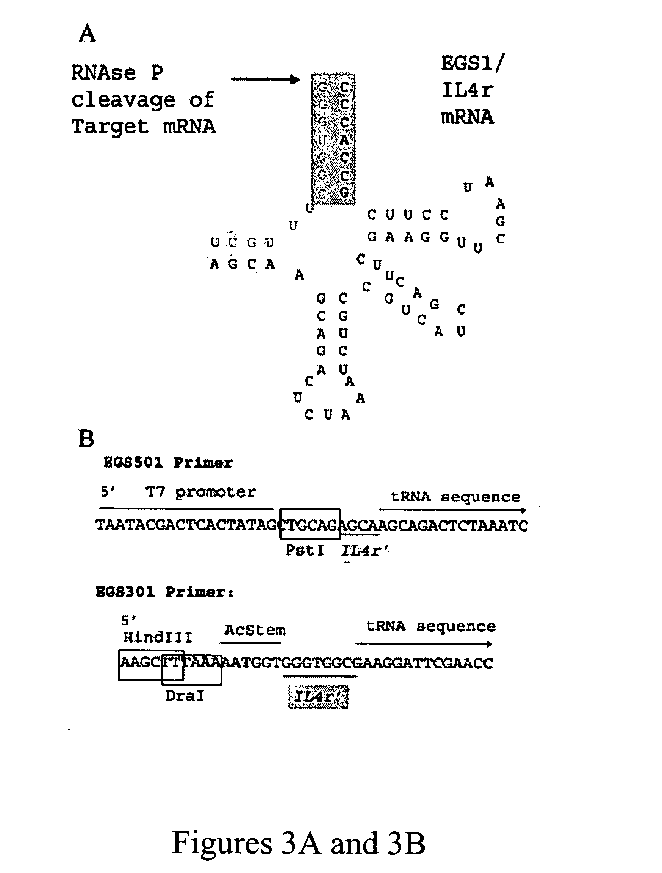 Nuclease resistant external guide sequences for treating inflammatory and viral related respiratory diseases