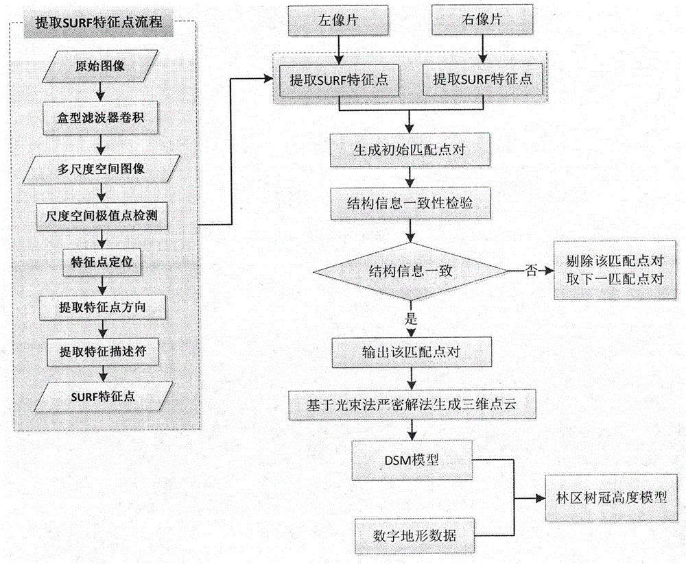 Forest three- dimensional canopy morphological structure extraction method on the basis of active contour model