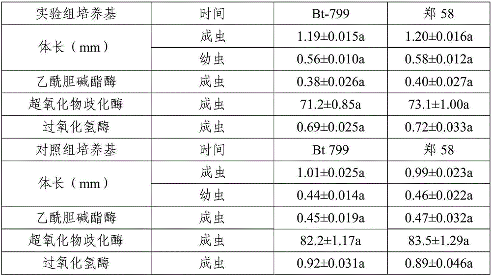 Transgenic crop risk assessment method based on mesofauna multi-generation observation