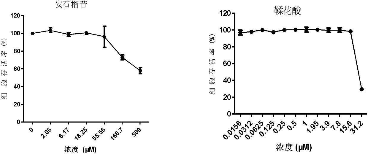 Application of pomegranate in preparing medicament for treating or preventing hepatitis B virus infection