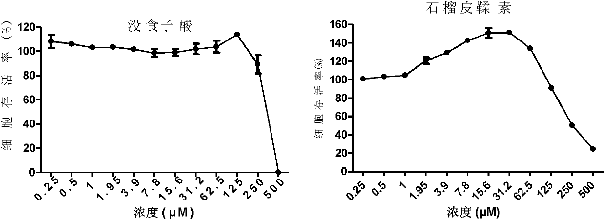 Application of pomegranate in preparing medicament for treating or preventing hepatitis B virus infection