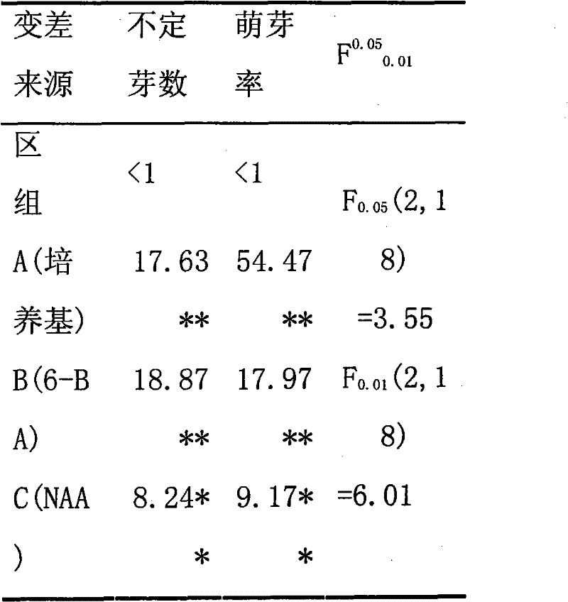 Method for realizing excellent plant body induction and successive propagation culture on dendrobium candidum by virtue of plant tissue culture