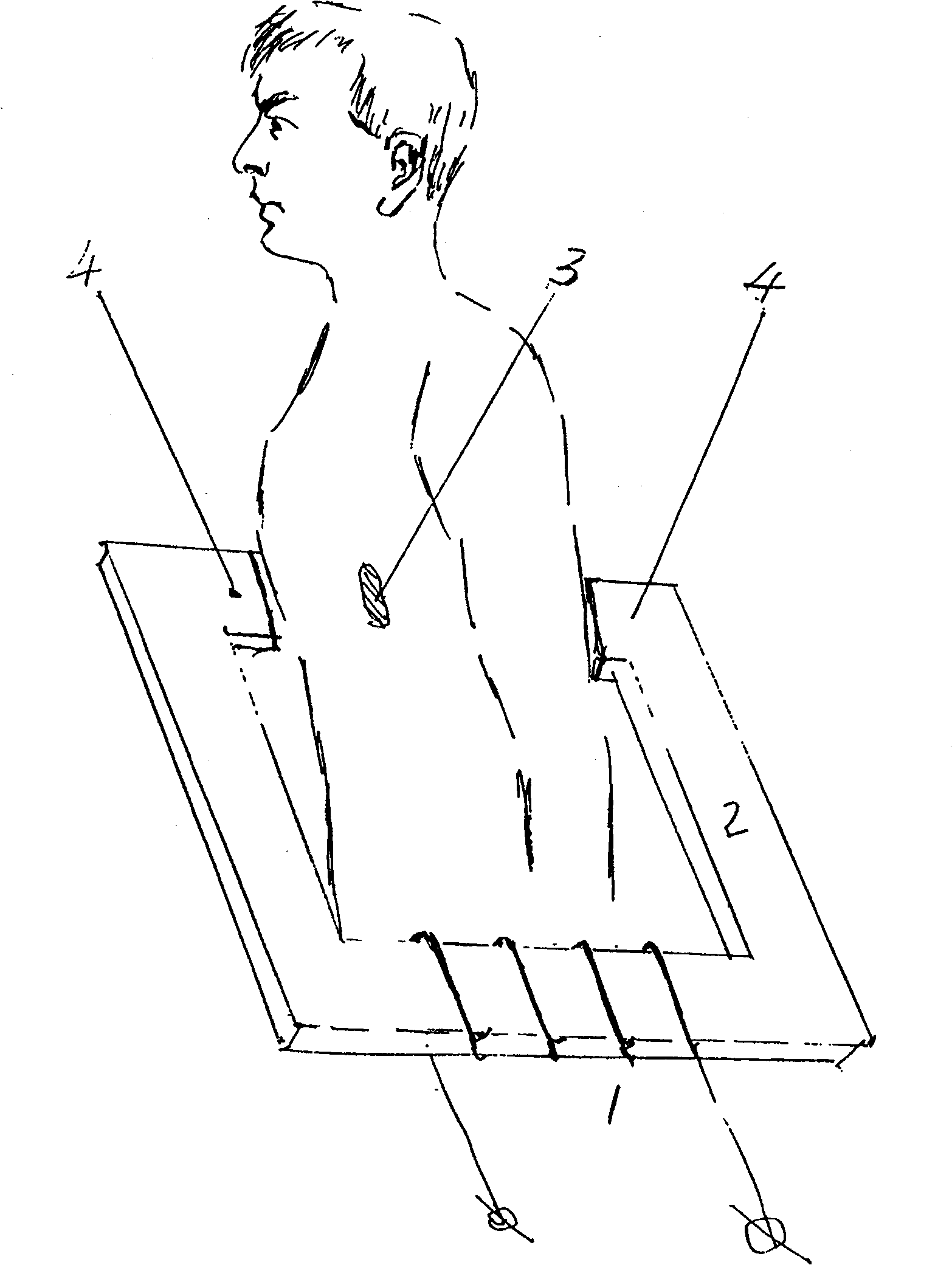 Method and device for local heating of animal inner body