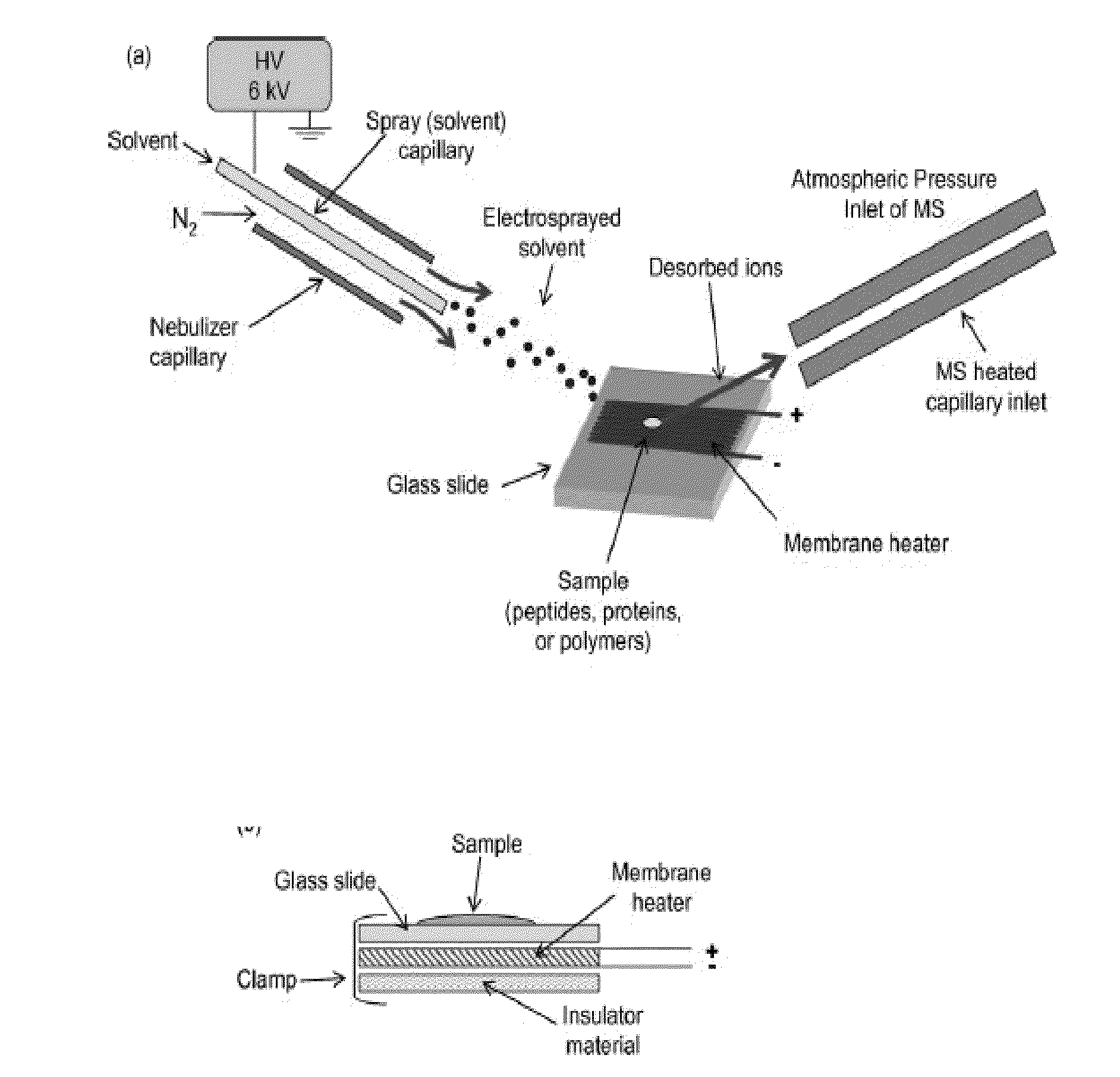 Method and apparatus for pyrolysis-induced cleavage in peptides and proteins