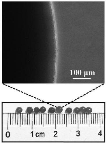 Oxygen-producing hydrogel and preparation method and application thereof