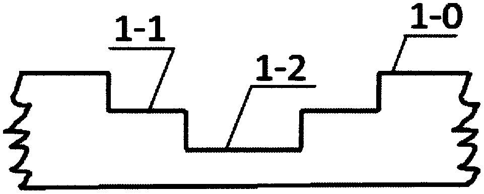 Processing method of 3D pattern plush fabric