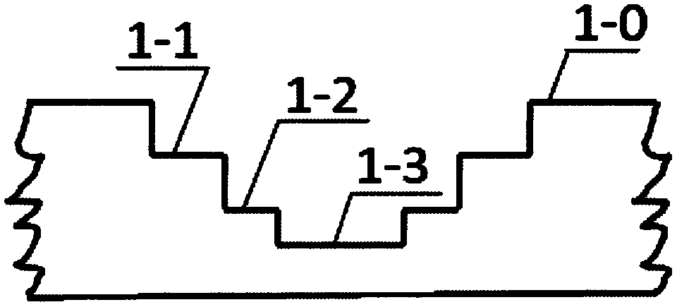 Processing method of 3D pattern plush fabric