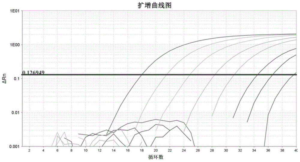 Primer, kit and method for detecting CHO cell DNA residues