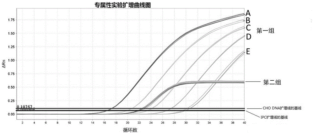 Primer, kit and method for detecting CHO cell DNA residues