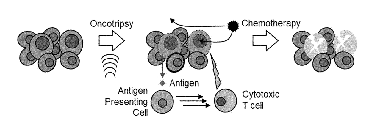 Selective Disruption of Neoplastic Cells via Resonant Harmonic Excitation