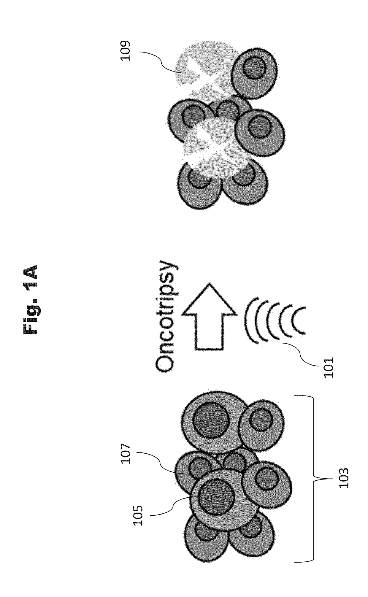 Selective Disruption of Neoplastic Cells via Resonant Harmonic Excitation